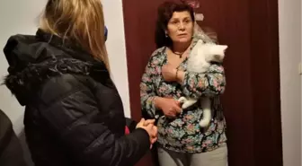 İnfaz koruma memuruna 'Van kedisi' operasyonu