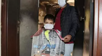 Oğlu 'Limon'um içeride kaldı' diye ağlayınca dumanın arasına girip kuşları kurtardı