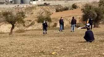 Zeytin ağacından düşen yaşlı adam hayatını kaybetti