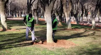 Gaziantep'te, belediye görevlileri kısıtlamada sokakları temizleyip, çiçek dikti