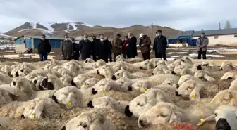 Bayburt'ta 'Köyümde Yaşamak İçin Bir Sürü Nedenim Var Projesi' kapsamında çiftçilere koyunları teslim edildi