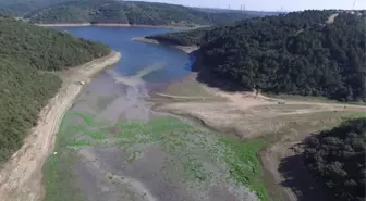 Hafta sonu yağan yağmurdan sonra İstanbul'da barajlardaki doluluk oranı %20'nin üzerine çıktı