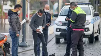 Yüzünden yaralı kediye kurtarma seferberliği