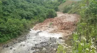 Doğu Karadeniz'de taşkınlara karşı 'Yarı Geçirgen Tersip Bendi'