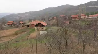 Son dakika haberi: Tedbirlerin sıkı uygulandığı mahallede koronavirüse rastlanmadı