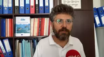 DOÇ .DR. TONAY: BALIK AZALMASININ SUÇLUSU YUNUSLAR DEĞİL