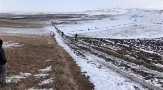 Kars'ta geleneksel at yarışları; 7,5 kilometrelik parkurda 'Umut Efe' birinci