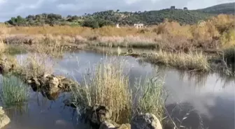 Patara Kazı Başkanı Işık: 'Hepinizi bekliyoruz, Patara bu mevsiminde daha güzel'