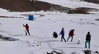 Kaymakam, polisler ve gençlerle doğaya yem bıraktı