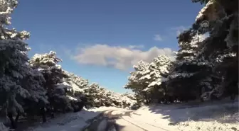 ÇANAKKALE - Yüksek kesimlerde kar yağışı etkili oldu (2)