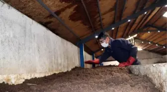 Kuraklık artınca suyu daha fazla muhafaza eden solucan gübresine talep patladı