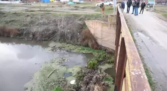 Porsuk Çayı'ndaki balık ölümleri endişe yarattı