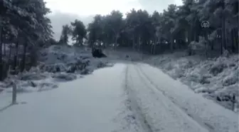 BALIKESİR - Doğada aç kalan sokak hayvanları unutulmadı