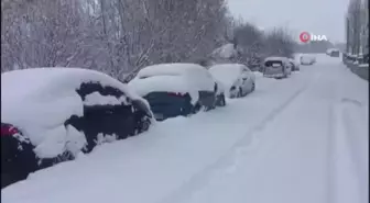Bingöl'de 115 köy yolu kapandı, Karlıova kara gömüldü