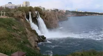 Şelalede ölen balıklar denizde martılara yem oldu