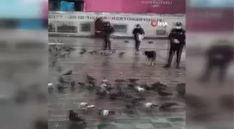 Polislerden örnek davranış, kar yağışında sokak hayvanlarını beslediler