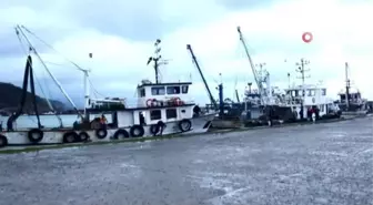 Sinop'ta deniz mayını bulundu