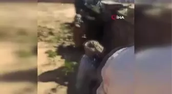 Son dakika haberleri... - Sudan'daki şiddet olaylarında 48 kişi öldü, 97 kişi yaralandı