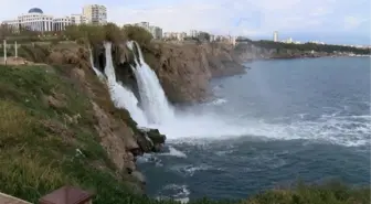 Şelalede ölen balıklar denizde martılara yem oldu