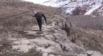 Yabani kuşlar için doğaya yem bıraktılar