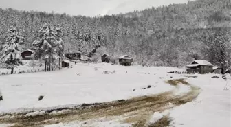 Yol kapandı; 17 kişi, kiraladıkları yayla evlerinde mahsur kaldı