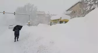 Bitlis'te kar yağışı kenti esir aldı! 290 köy yolu kapandı, evler, duraklar ve tabelalar kayboldu