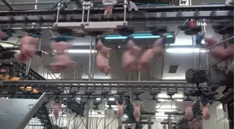 Kanatlı sektörü salgının izlerini silmeye çalışıyor