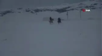 Karın tadını cirit oynayarak çıkarttılar