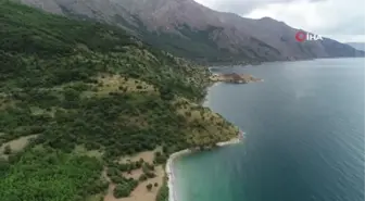 Van Gölü'nün cennet koyları 'doğal sit-nitelikli doğal koruma alanı' olarak tescillendi