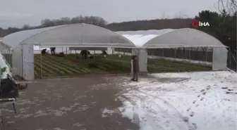 Bu serada üretilen sebzeler ihtiyaç sahiplerine ulaştırılıyor