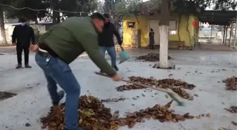 MANİSA-ÖZEL) Yağışlar Demirköprü Barajı'nda su seviyesini yükseltti