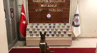 Van'da, evdeki 21 kilo eroini 'Zeyna' buldu