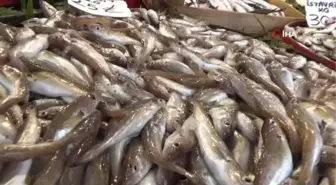 Düzceli balıkçılar vatandaşa ucuz balık yedirmek için yasağın kalkmasını bekliyor