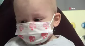 Mirzahan bebek aylardır ilik bekliyor