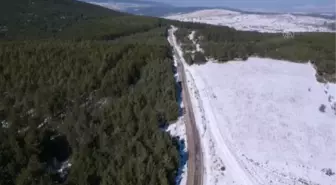 KASTAMONU - Yaban hayvanları için doğaya yem bırakıldı