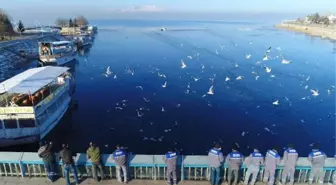 Kısmen donan Beyşehir Gölü'ne martılar için yem bırakıldı