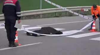 Son dakika haberi | Sinop'ta araç yayaya çarptı: 1 ölü