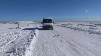 Muradiye'de sokak hayvanlarına yem bırakıldı