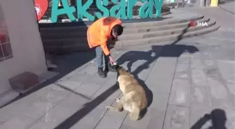 Temizlik görevlisinden yürekleri ısıtan davranış