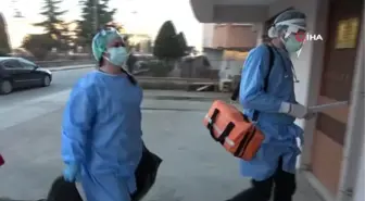 Asırlık çınarlara evde korona virüs aşısı vuruldu