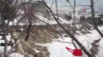Doğadaki hayvanlara yemlik
