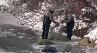 Yüksekova'da buz tutan derede 'eskimo usulü' balık avı