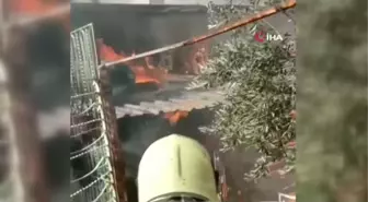 Kışlıklarının yanışını gözyaşlarıyla izledi