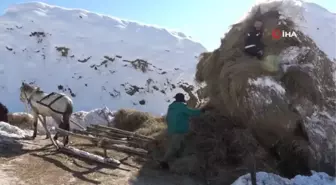 Muş'ta besicilerin kış mevsiminde en büyük destekçileri atlı kızaklar