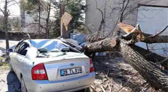 Saniyeler önce park ettiği otomobilinin üzerine ağaç devrildi