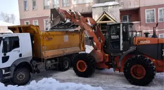 Bitlis'te 6 bin kamyon kar, kent dışına çıkarıldı