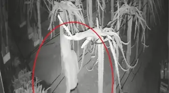 Serasından soba kablosu çalınan üretici: Tedarik edemezsem 150 bin liralık mahsul zarar görecek