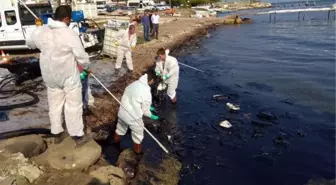 Foça'da çevre faciası yaratan gemi kaptanı ve sahibi için hapis cezası istendi