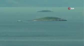 Kardak kayalıkları 25 yıl sonra ilk kez sesiz kaldı