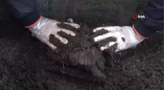 Solucanlarına gözü gibi bakıyor